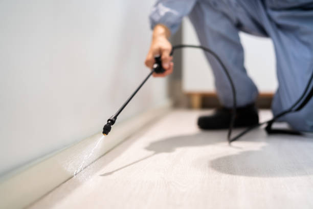 Licensed Pest Control service in Moundsville, WV - Show Me Pest Control