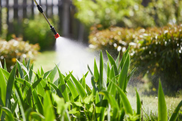24/7 Emergency Mosquito Control experts in Moundsville, WV